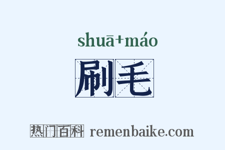刷毛是什么意思的图片